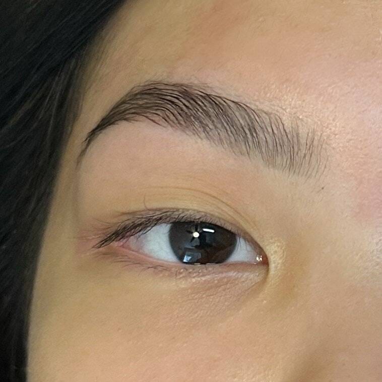Brow lamination wax shape tint harvest brown Sacramento